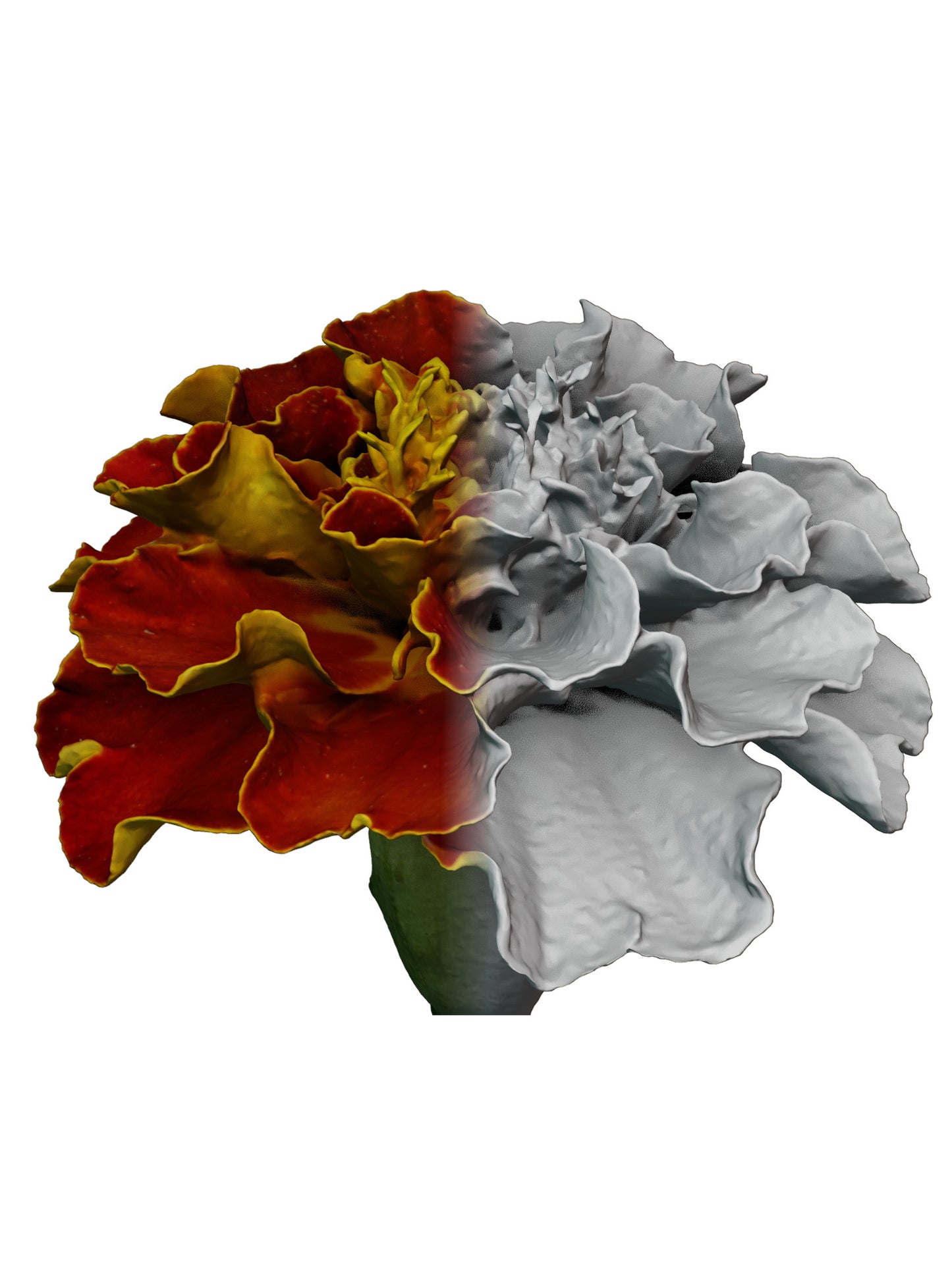 3D-Scan Service